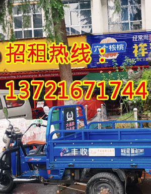 红枫路1